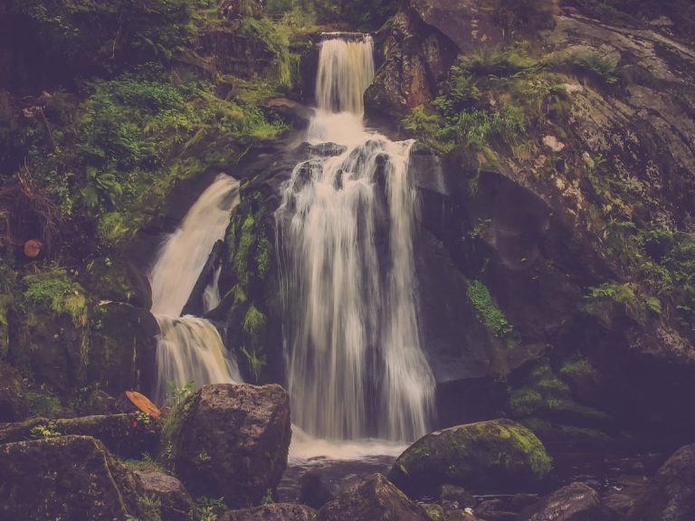 Natur- und Achtsamkeitstraining im Wald von achtklang, Raum Rastatt: Ein idyllischer Wasserfall in einem Waldgebiet